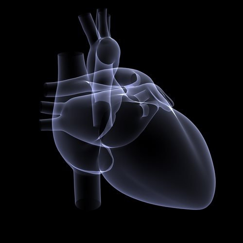 Sapien Artificial Heart Valve Use Expanded